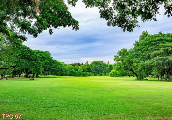 tranh-phong-canh