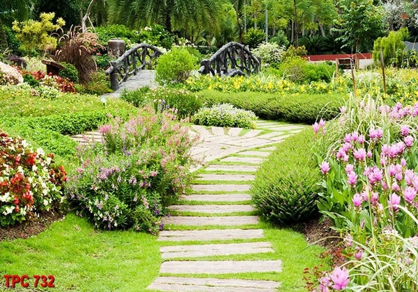 tranh-phong-canh