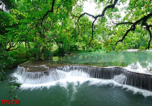 tranh-phong-canh