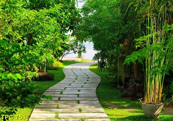 tranh-phong-canh