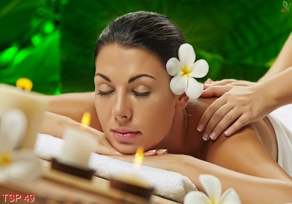tranh-spa