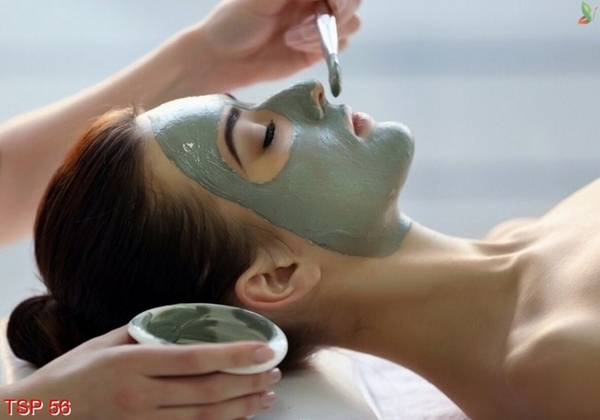 tranh-spa