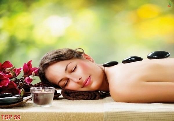 tranh-spa