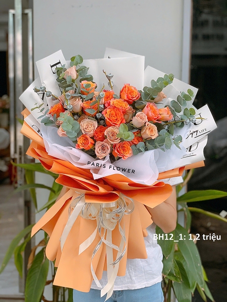 nature-roses-1