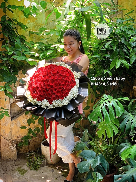 red-ecu-roses-7