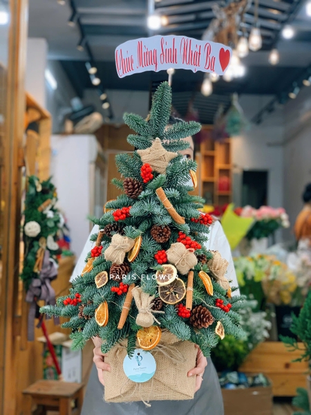 medium-christmas-tree-01