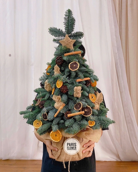 medium-christmas-tree-2