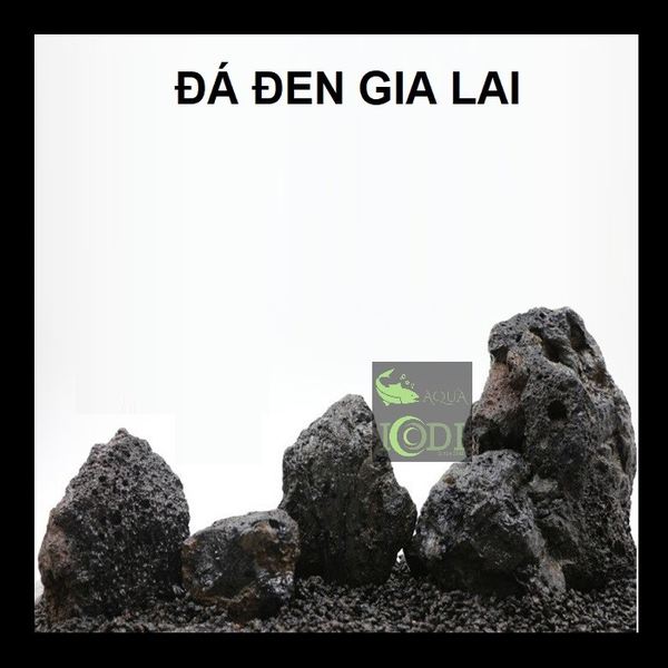 da-den-gia-lai