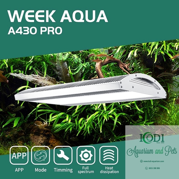 den-thuy-sinh-week-ark-pro-a430