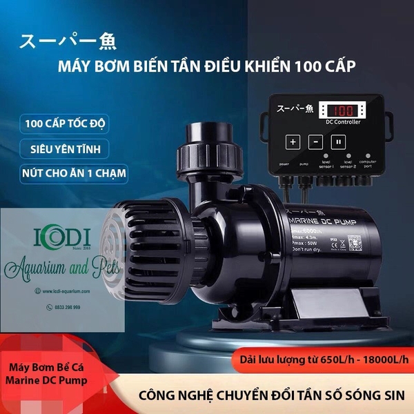 may-bom-be-ca-marine-dc-pump