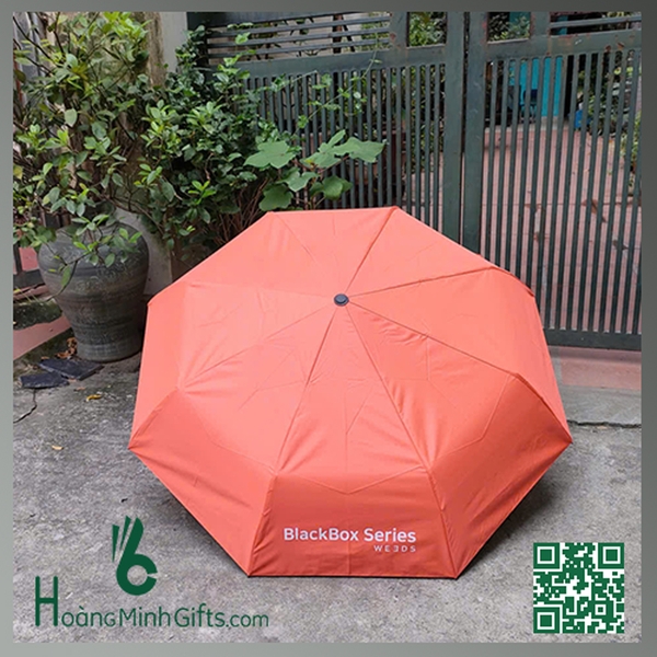 o-gap-3-tu-dong-2-chieu-khach-hang-weeds