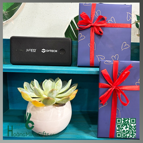 pin-sac-du-phong-anker-powercore-10000mah-khach-hang-svtech