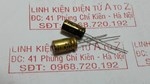Tụ điện Nichicon FW 220UF 16V  RK-194