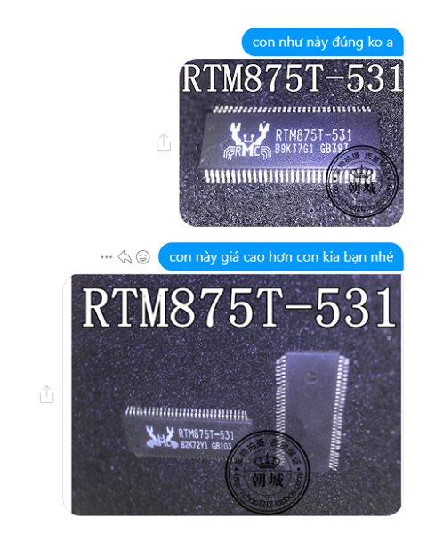 RTM875T-531