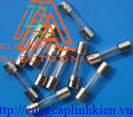 Cầu chì 1A 250V 6x30mm RK-43