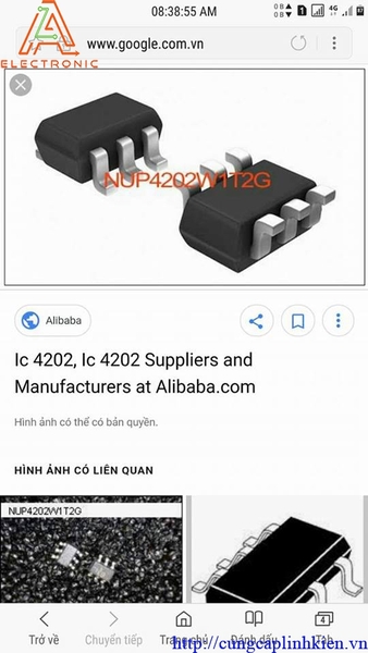 NUP4202 Hk-265-2