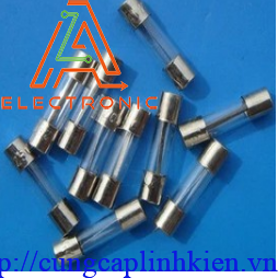 Cầu chì 10a 250v 6x30mm (20chiec) T2-U14