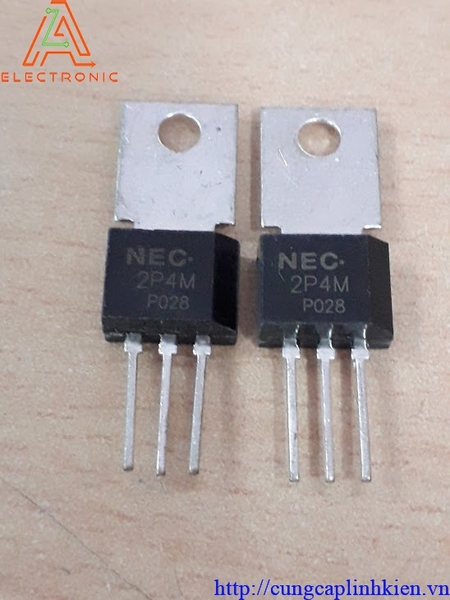 2P4M 2A RK-111