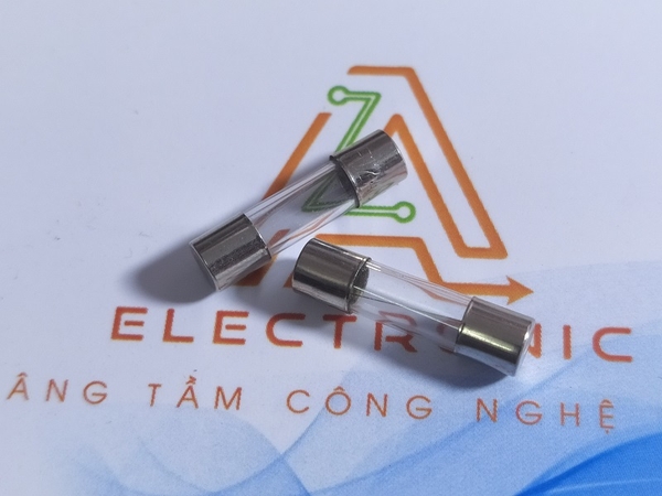 cầu chì 12A 250v 5x20mm RK-52