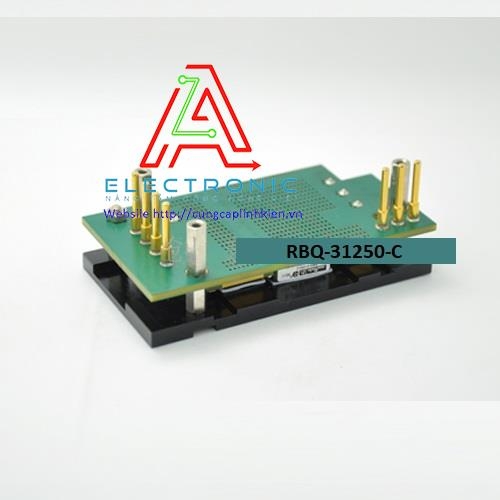 Module biến tần IGBT RBQ-31250-C new