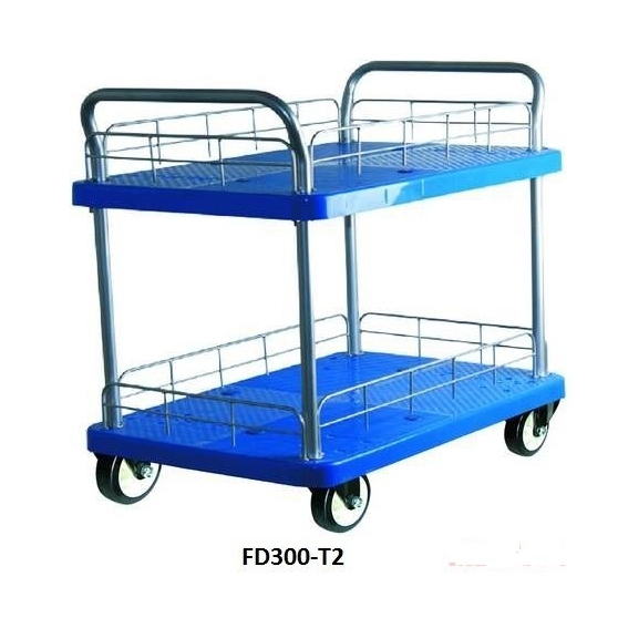 xe-day-hang-feida-fd-300-t2