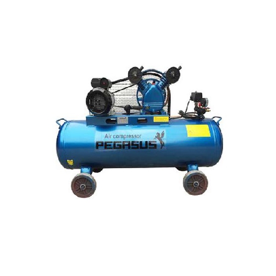 may-nen-khi-pegasus-tm-v-0-25-12-5-180l-3hp