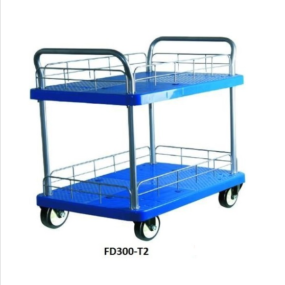 xe-day-hang-feida-fd-300-t2