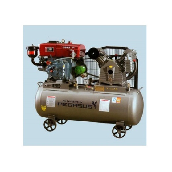 may-nen-khi-chay-dau-diesen-pegasus-tmw-1-0-8-500l-10hp