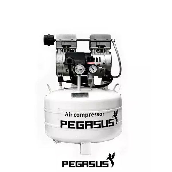may-nen-khi-khong-dau-pegasus-tm-of550-40l