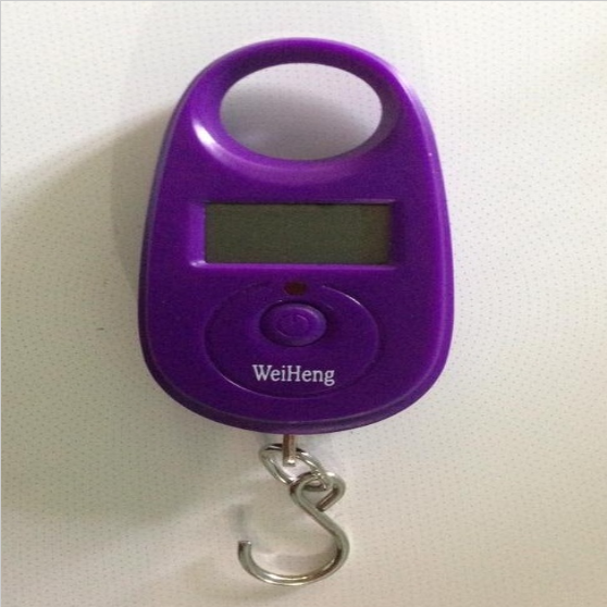 can-di-cho-mini-weighing-25kg-5g