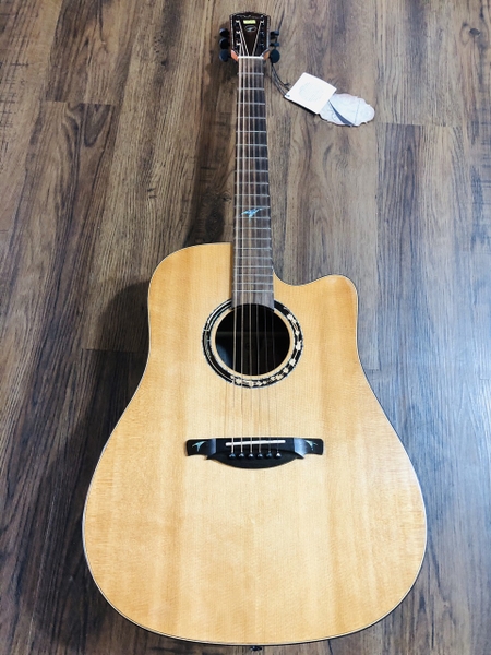 Guitar Dadarwood DW-F610CS