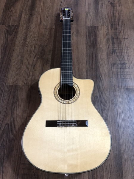 Guitar Martinez MP-14 MAPLE