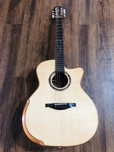 Guitar Dadarwood DW-3900C
