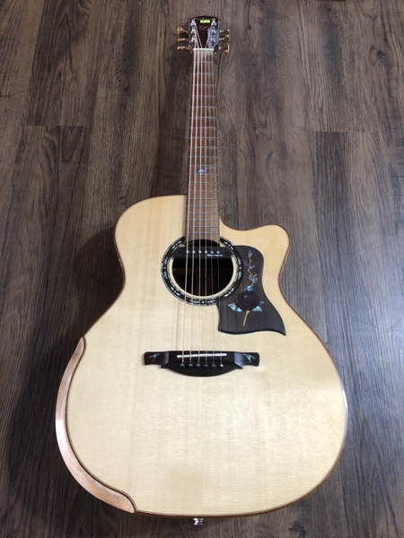 Guitar Dadarwood DW-TH650CS