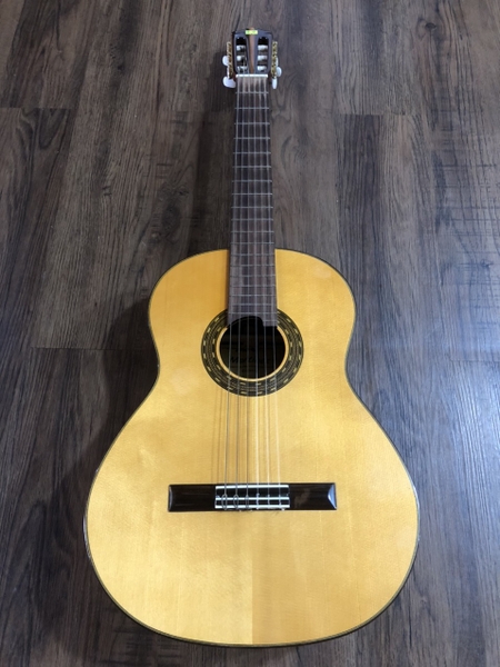 Guitar Martinez MCG-100S