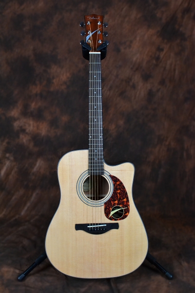 Guitar Dadarwood DW-401CS