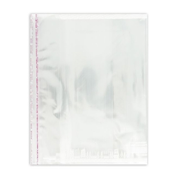 Bọc nylon A4 Hồng Hà (210x297mm) - 3389