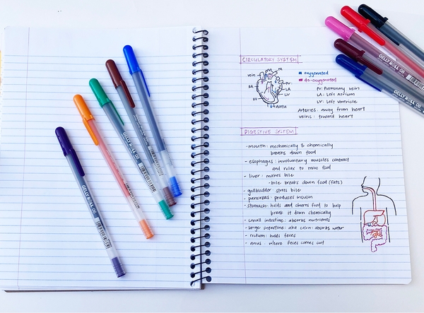 Bút Gel Sakura Gelly Roll Classic