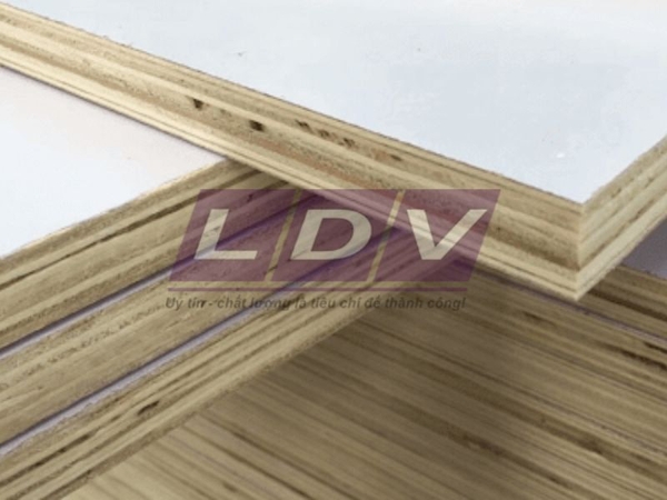 Gỗ Plywood là gì? Ưu nhược điểm và ứng dụng của ván gỗ Plywood