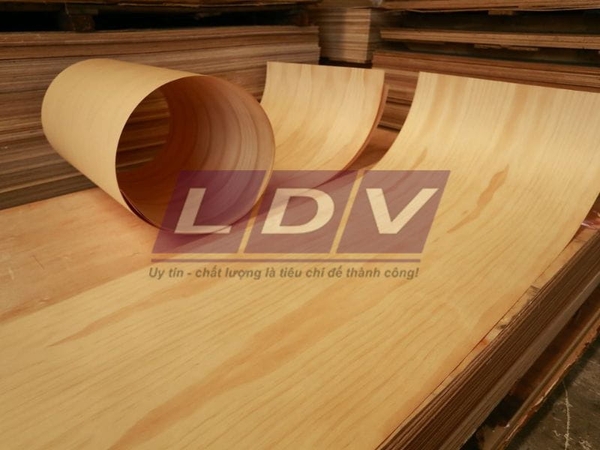 Veneer là gì? Danh sách các loại gỗ veneer phổ biến hiện nay