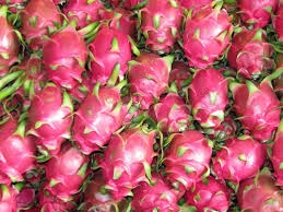 Dragonfruit( trái thanh long)