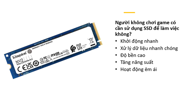 Người không chơi game có cần sử dụng SSD để làm việc không?