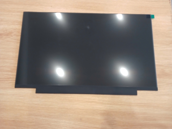 Màn hình laptop Lenovo 20LS L480