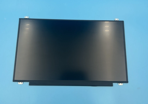 Màn hình laptop 17.3 inch FHD - N173HCE-E31