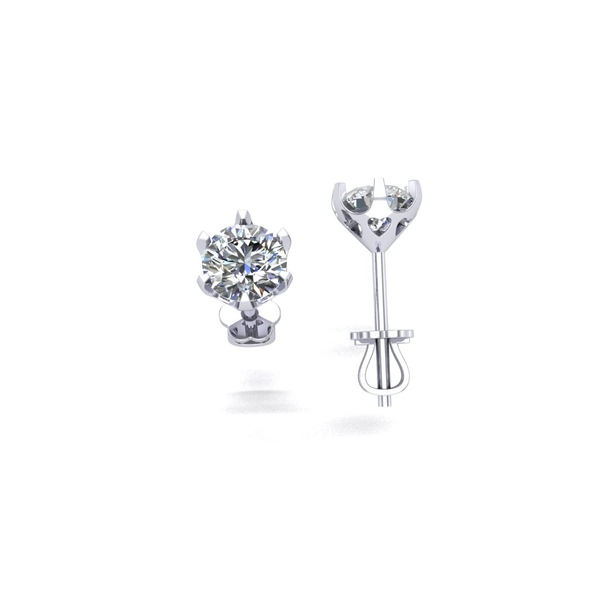 hoa-tai-bac-htb220325