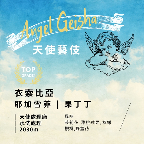 Angel Geisha WASHED - 天使藝伎_ 水洗