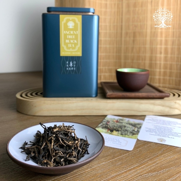 Vietnam Ancient Tree Black Tea | 越南古树山雪红茶