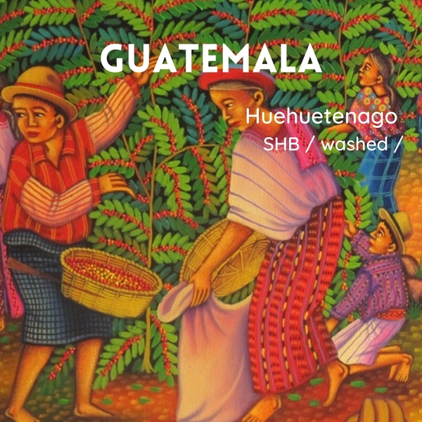 Guatemala - Washed <br>瓜地馬拉 - 水洗豆