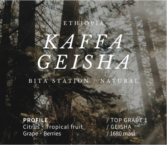 Kaffa Geisha-natural卡法森林藝伎-日曬豆 (SOLD OUT-缺貨)