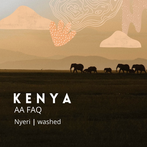Kenya - Washed <br>肯亞 - 水洗豆